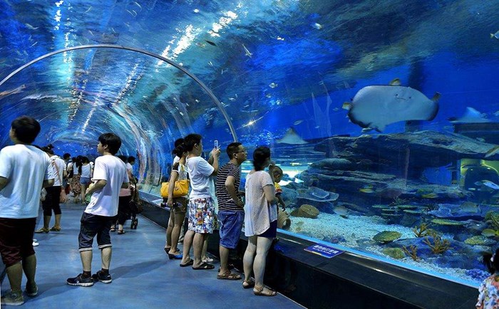 海洋館玻璃幕墻 海洋館玻璃幕墻